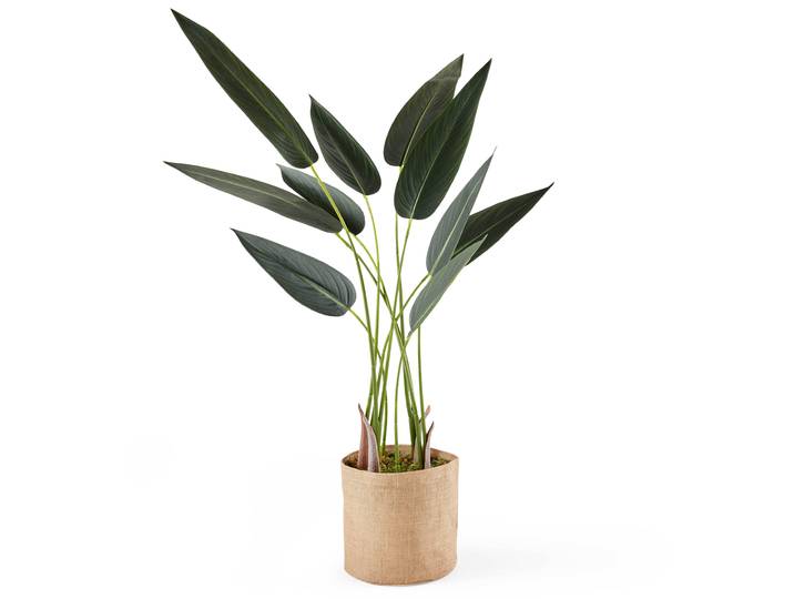 Künstliche Strelitzia im Topf, Höhe 90 cm