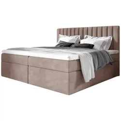 BOXBETT Linnea