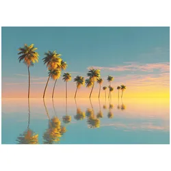 FOTOTAPETE 3D Effekt Strand Meer Karibik Wohnzimmer 350x250