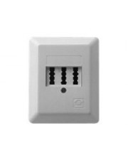 ZE-KOM 3x6 Standard Wanddose TAE-NFN Pearl White RAL 1013 Abdeckung mit einer Aussparung (1-672.03.5.01)