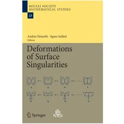 Deformations of Surface Singularities, Fachbücher von Agnes Szilárd, Andras Némethi