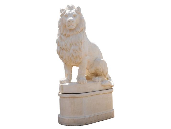 Base pour Lion