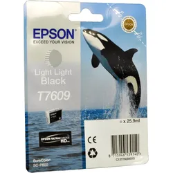 Epson Tinte C13T760940 light light black T7609