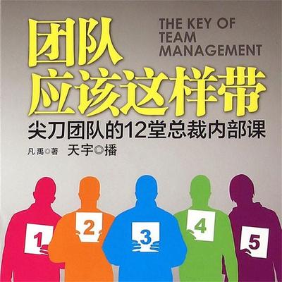 团队应该这样带：尖刀团队的12堂总裁内部课 - 凡禹, Audio, 4099995948981