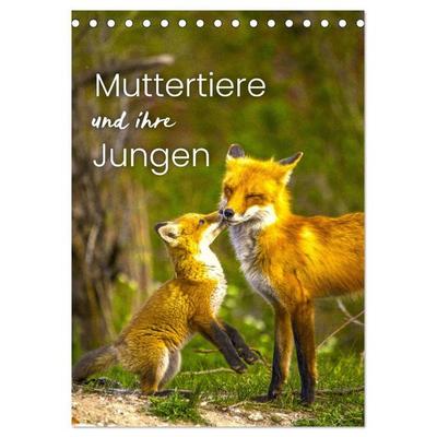 Muttertiere und ihre Jungen (Tischkalender 2027 DIN A5 hoch), CALVENDO Monatskalender