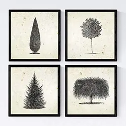 POSTER Set mit 4 Blättern der Bäume in Alten Papierhintergrund 30x30 cm Rahmenlos