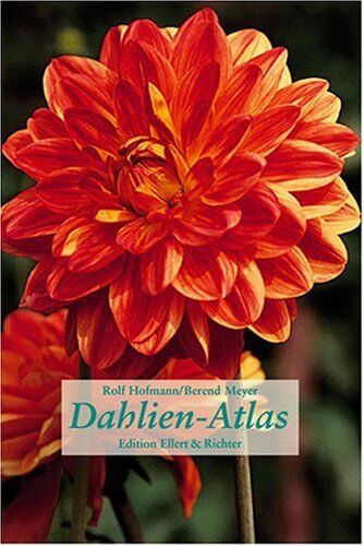 Rolf Hofmann - Dahlien-Atlas (Edition Ellert und Richter) (Edition Ellert und Richter) - Preis vom 06.10.2026 07:26:00 h