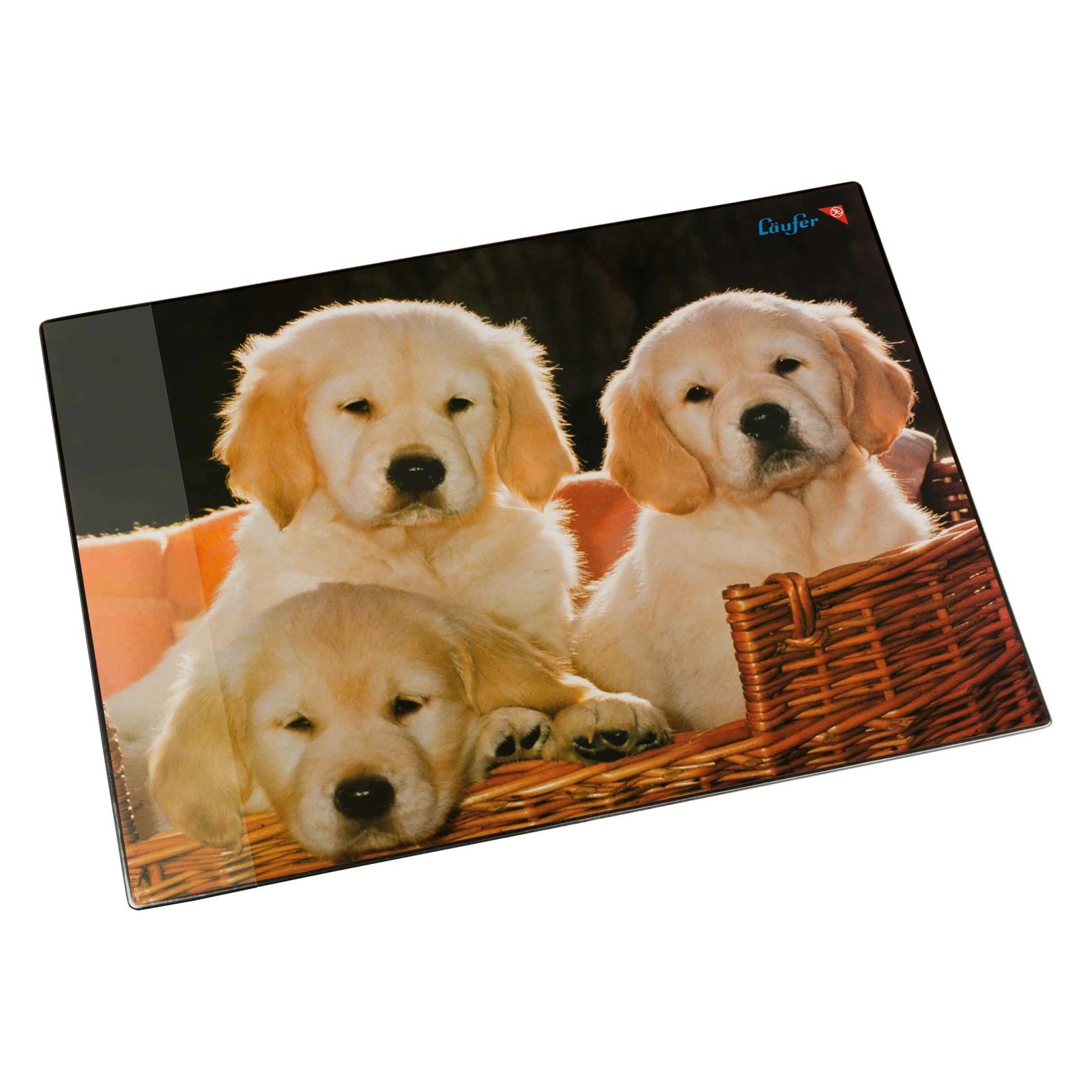 Läufer Hunde (53 x 40 cm) (46581)