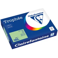 Clairefontaine Kopierpapier 1107PC A4 160g grün 250 Blatt