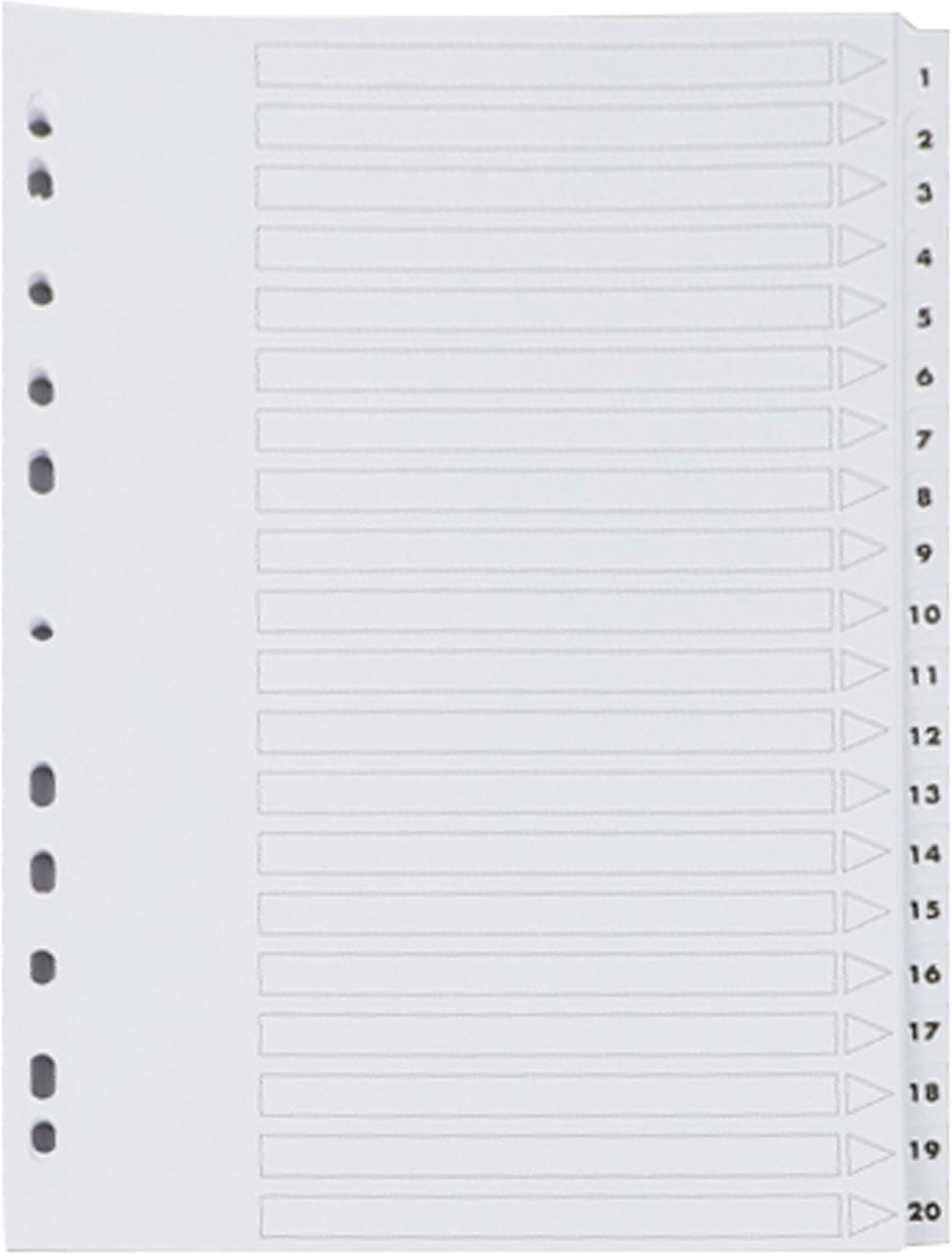 SPRINTIS 10 SET - Divisori A4, numeri da 1 a 20 stampati su entrambi i lati, perforazione a 11 fori, cartoncino, bianco, PP