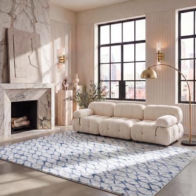 SAFAVIEH Amelia Polly Geometric Distressed Rug