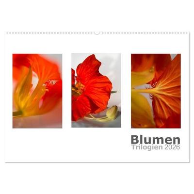 Blumen Trilogien (Wandkalender 2026 DIN A2 quer), CALVENDO Monatskalender