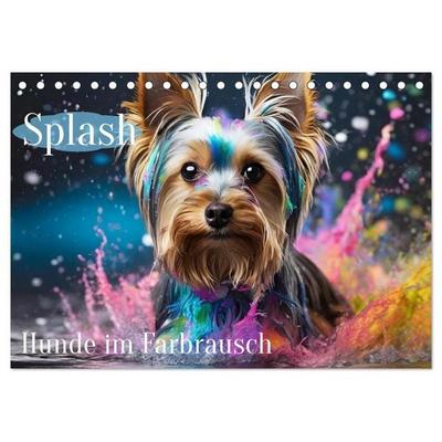 Splash - Hunde im Farbrausch (Tischkalender 2027 DIN A5 quer), CALVENDO Monatskalender