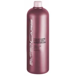HAIR HAUS Super Brillant Care Color Creme-Gel-Versiegeler 1000 ml