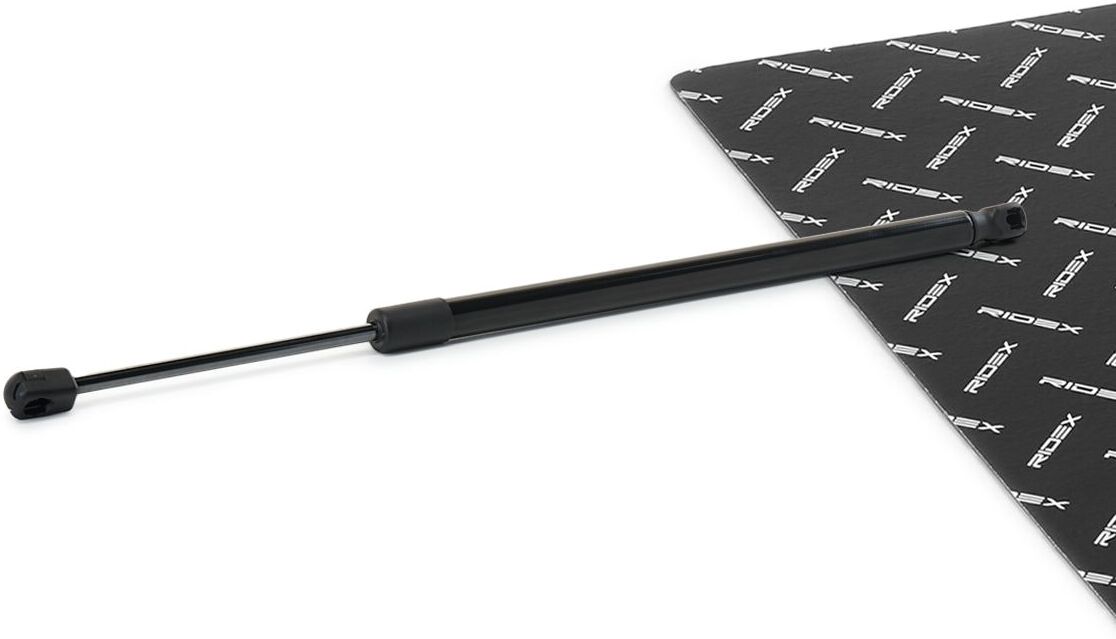 RIDEX 219G1084 Tailgate strut