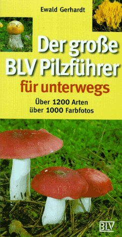 Ewald Gerhardt - Der große BLV Pilzführer für unterwegs - Preis vom 01.10.2026 17:08:56 h