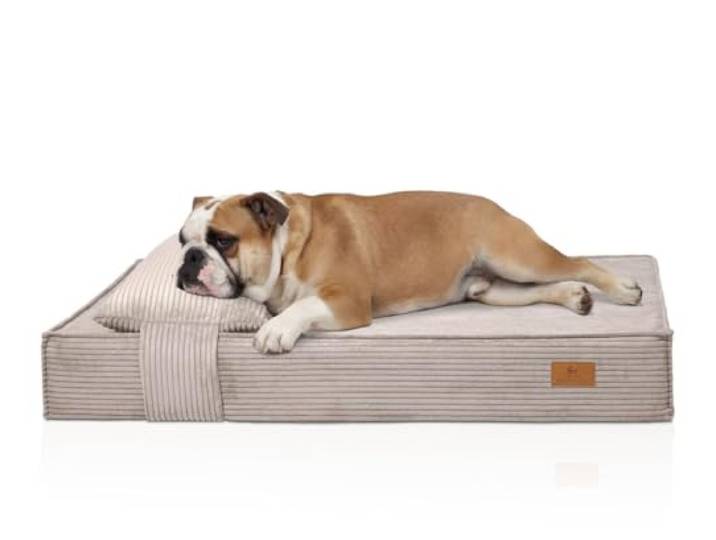 Knuffelwuff orthopädisches Hundebett Soleya 135x90cm Hellgrau Cord Hundebett mit Kopfkissen Memory Foam Matratze gelenkschonend & formstabil Bezug waschbar 30 °C für kleine bis große Hunde