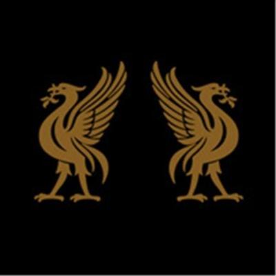 Cape, J: Liverbirds - Joey Cape, CD