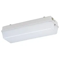 Schuch Licht LED-Notleuchte 131 L13G2 ZB