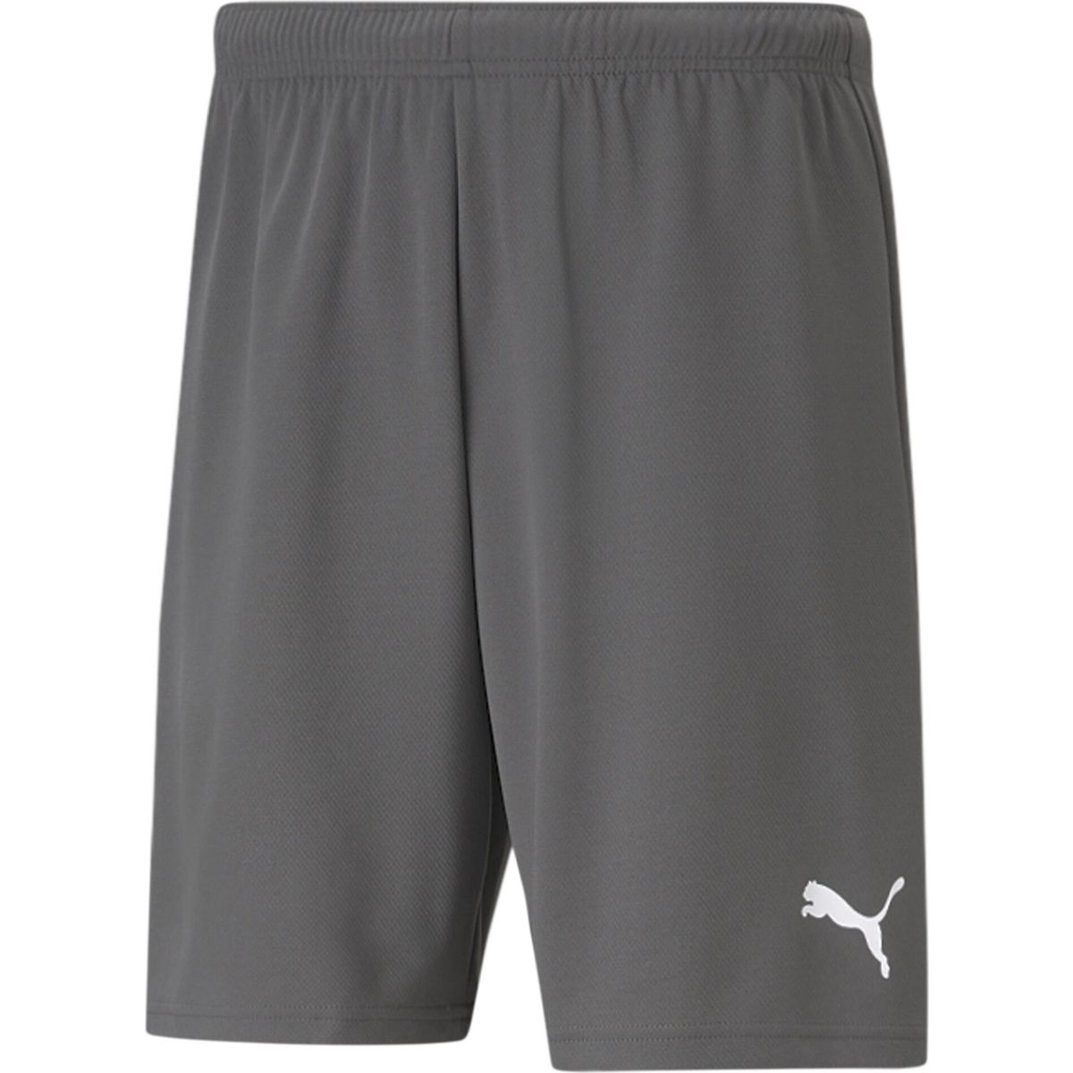 Puma Teamrise Short smoked pearl-puma white (13) XXL 704942-13-XXL
