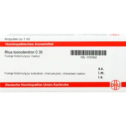 Rhus Toxicodendron C30 Ampullen 8 ML