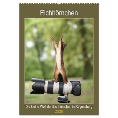 Die kleine Welt der Eichhörnchen in Regensburg (Wandkalender 2026 DIN A2 hoch), CALVENDO Monatskalender