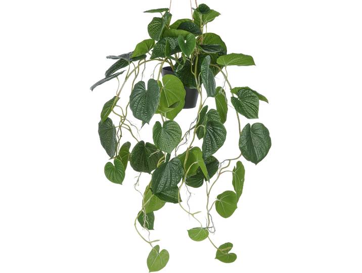Kunstpflanze CREATIV GREEN Hängende Peperomia caperata , grün, H:70cm, Kunststoff, Kunstpflanzen, Kunstpflanze, mit üppigen Ranken