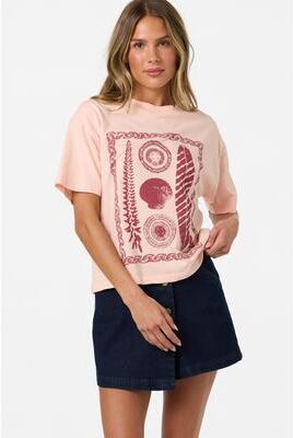 O'Neill s Calico Easy T-Shirt in Peach Light, Size XS