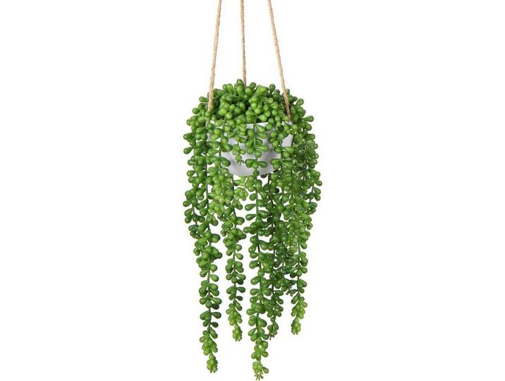 Hängepflanze Senecio Künstliche Sukkulente 35.5 cm, Grün, Kunststoff, 35 cm, Dekoration, Blumen & Blumentöpfe, Kunstpflanzen
