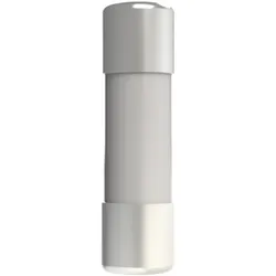 ABB E 9F14 AM45 Zylindrische Sicherung 45A, 14 x 51mm