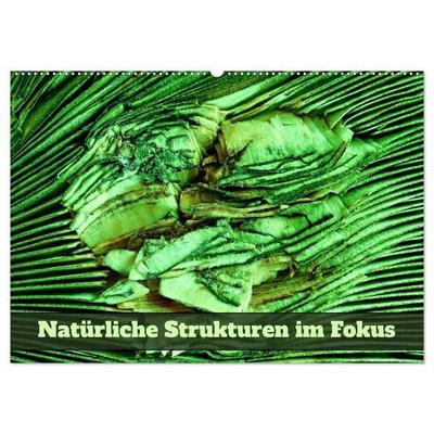 Natürliche Strukturen im Fokus (Wandkalender 2027 DIN A2 quer), CALVENDO Monatskalender