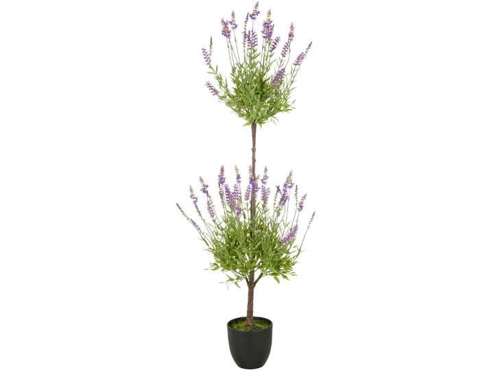 Kunstpflanze CREATIV GREEN Lavendel , lila, H:120cm, Kunststoff, Kunstpflanzen, Kunstpflanze, mit filigranen Lavendelbüten