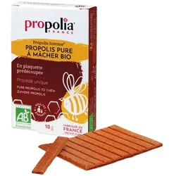 Propolis - Bio Pur Riegel