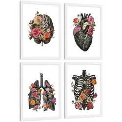 POSTER Set aus 4 Anatomie Drucke und Dekorative mit Gehirn Herz Lungen Atmungssystem Rippen Wirbelsäule Modernes Florales Größe Weißer Rahmen A4
