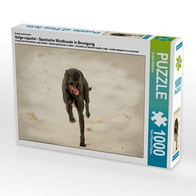 CALVENDO Puzzle Ein Motiv aus dem Kalender Galgo español - Spanische Windhunde in Bewegung | 1000 Teile Lege-Größe 64x48cm Foto-Puzzle für glückliche