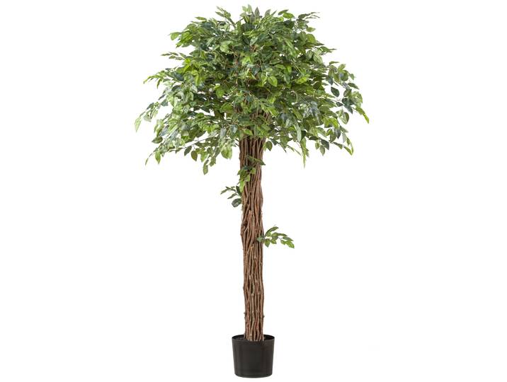 Kunstpflanze CREATIV GREEN Ficus benjamina , grün, H:175cm, Kunststoff, Kunstpflanzen, Kunstpflanze, mit lianenartigem Stamm
