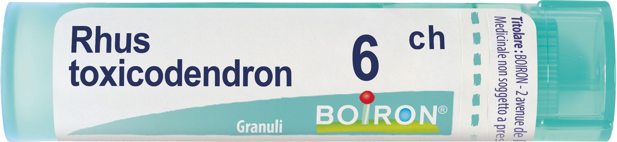 Rhus Toxicodendron 6ch Granuli Multidose Boiron