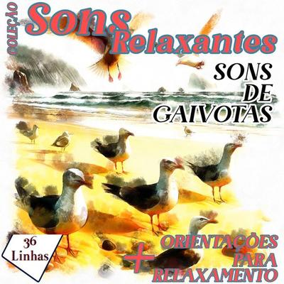 Coleção Sons Relaxantes - Sons de Gaivotas - Silvia Strufaldi, Audio, 9798882342202