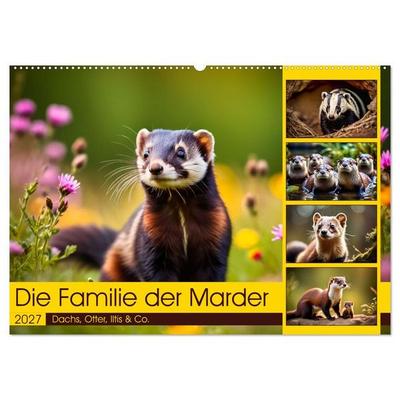 Die Familie der Marder (Wandkalender 2027 DIN A2 quer), CALVENDO Monatskalender