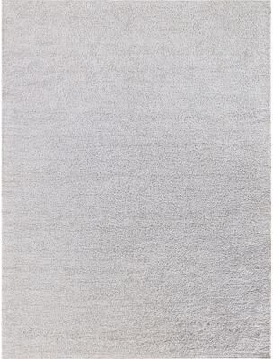 EXQUISITE RUGS Morello Indoor/Outdoor Reversible Hand-loomed PET yarn Ivory/Ivory Area Rug.