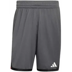 adidas DBB Deutschland Basketball Trainingsshorts 2026 Herren grey six M