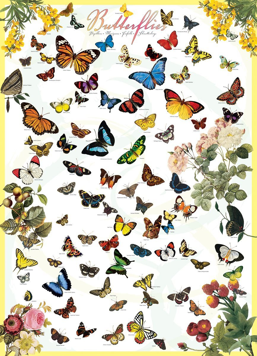 Eurographics Puzzel Vlinders 1000 stukjes