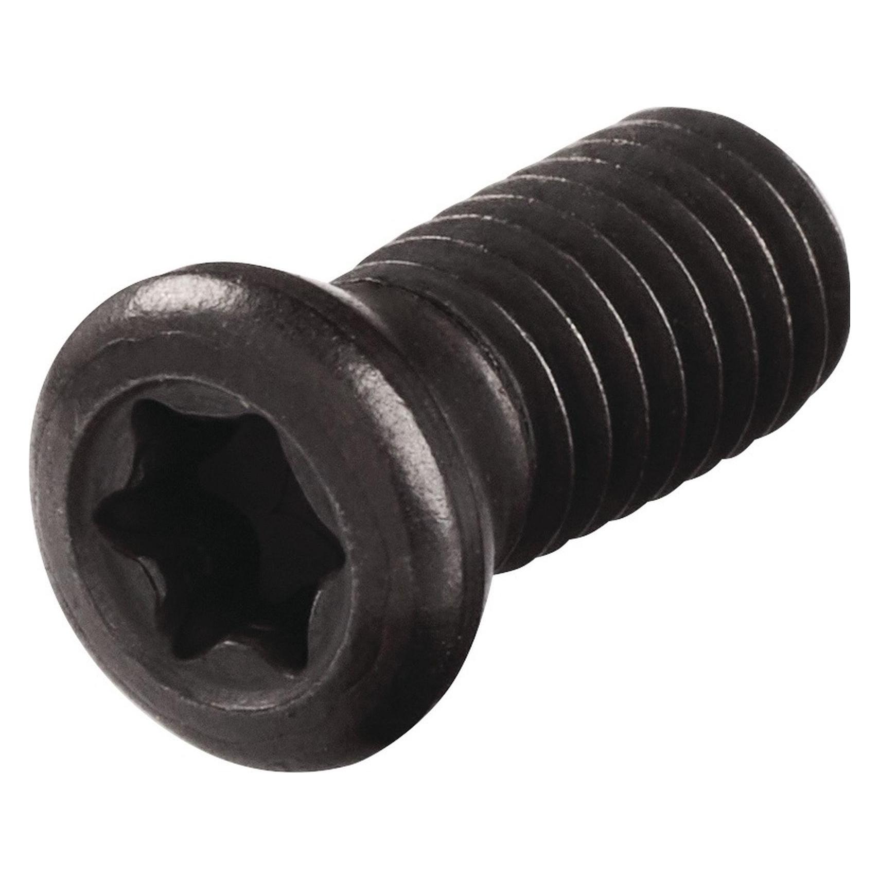 Tecwerk Spannschraube WS0512 Grösse T20 (2480151279)