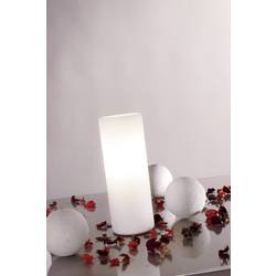 Paulmann Noora 77010 Tischlampe Halogen E14 40 W Opal