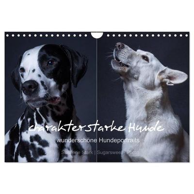 charakterstarke Hunde, wunderschöne Hundeportraits (Wandkalender 2026 DIN A4 quer), CALVENDO Monatskalender