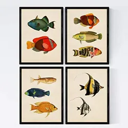 POSTER Set mit 4 Balearen 10 verschiedenen Fischen A3 Rahmenlos