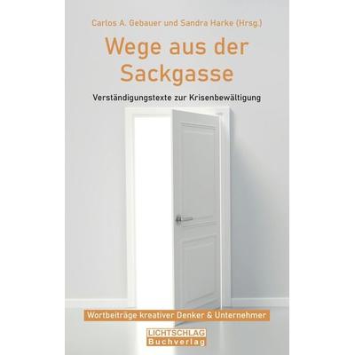 Wege aus der Sackgasse, Taschenbuch von , Freiheitsfunken AG, 978-3-907476-04-8