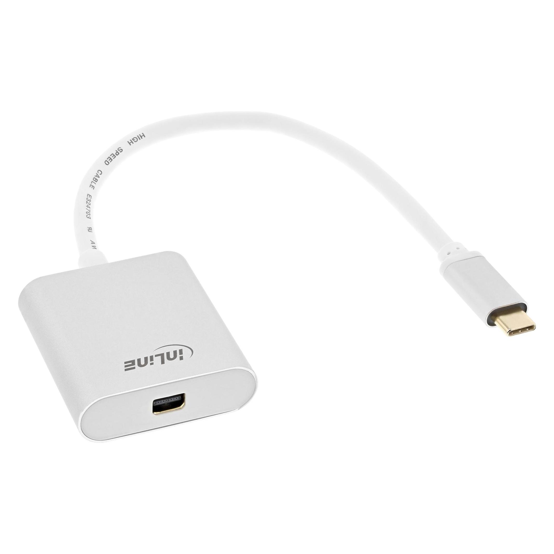 InLine USB Typ-C zu Mini DisplayPort (64105S)