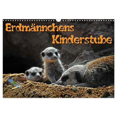 Erdmännchens Kinderstube (Wandkalender 2026 DIN A3 quer), CALVENDO Monatskalender