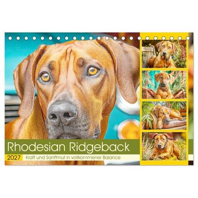 Rhodesian Ridgeback. Kraft und Sanftmut in vollkommener Balance (Tischkalender 2027 DIN A5 quer), CALVENDO Monatskalender
